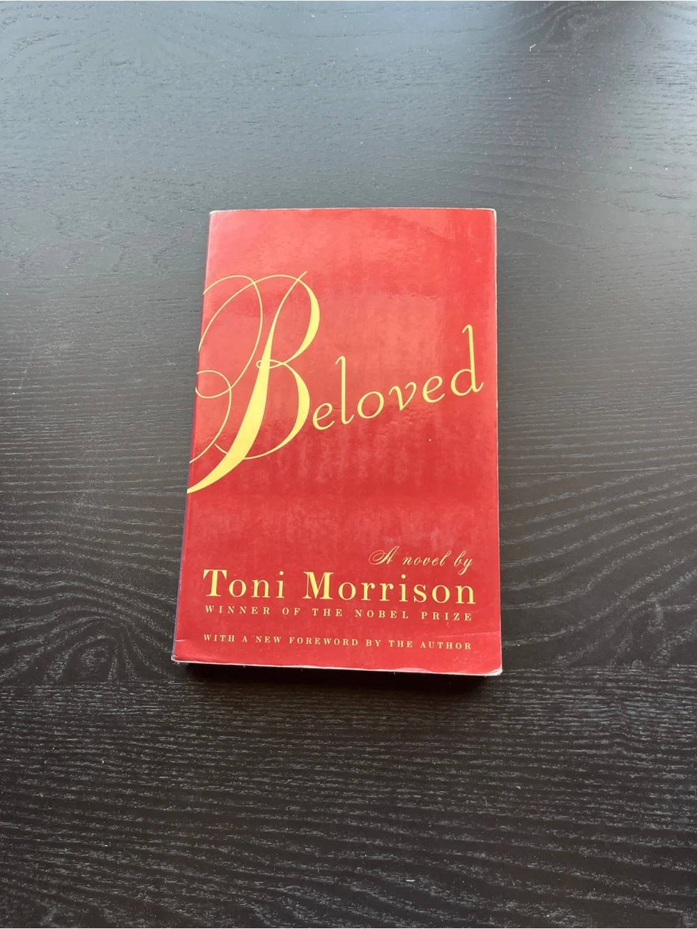 Vintage International Beloved Toni Morrison Paperback Red Book Approx 8 Inch